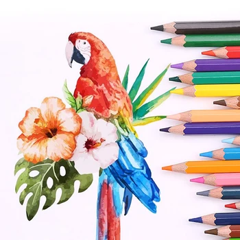 Цветна писалка молив комплект професионална рисунка изкуство скица живопис пастел за детска училищна канцеларски материали на едро
